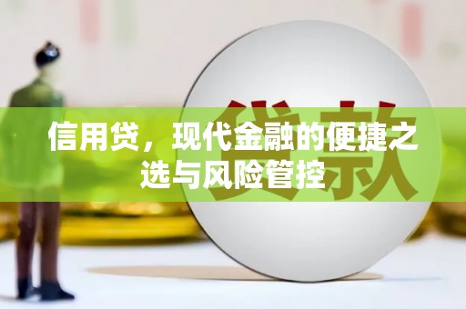 宏伟信用贷，现代金融的便捷之选与风险管控
