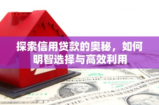 宏伟探索信用贷款的奥秘，如何明智选择与高效利用