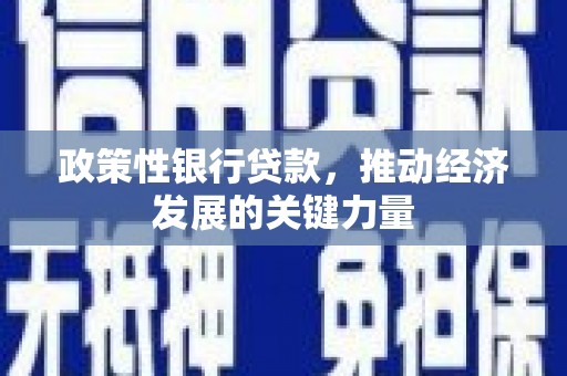 宏伟政策性银行贷款，推动经济发展的关键力量