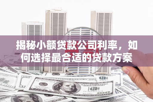 宏伟揭秘小额贷款公司利率，如何选择最合适的贷款方案