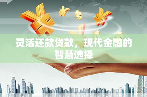 宏伟灵活还款贷款，现代金融的智慧选择