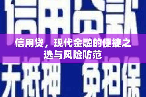 宏伟信用贷，现代金融的便捷之选与风险防范