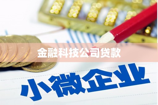 宏伟金融科技公司贷款