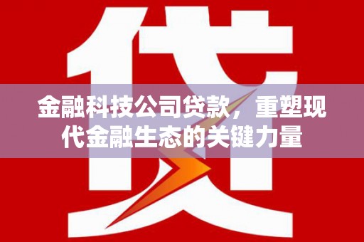 宏伟金融科技公司贷款，重塑现代金融生态的关键力量