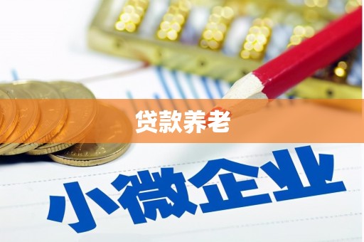 宏伟贷款养老