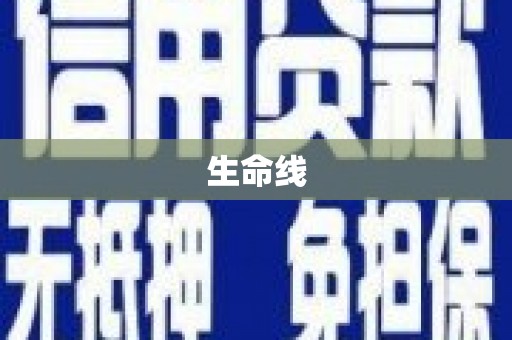 宏伟生命线
