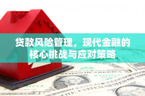 宏伟贷款风险管理，现代金融的核心挑战与应对策略