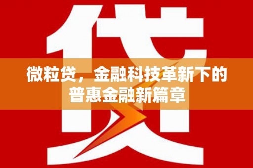 宏伟微粒贷，金融科技革新下的普惠金融新篇章