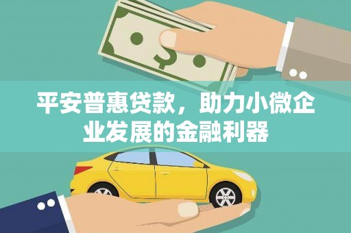 宏伟平安普惠贷款，助力小微企业发展的金融利器