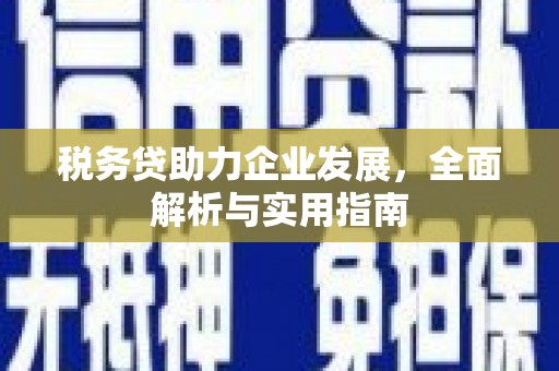 宏伟税务贷助力企业发展，全面解析与实用指南