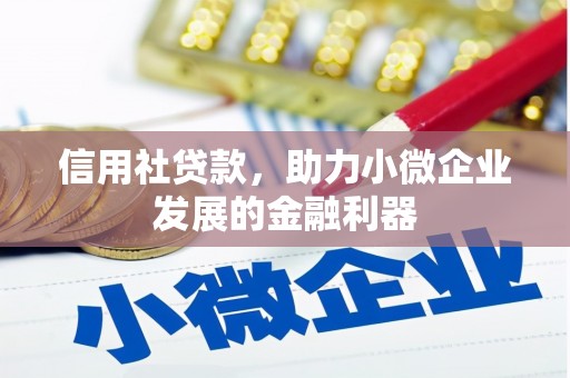 宏伟信用社贷款，助力小微企业发展的金融利器