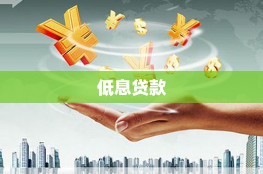 宏伟低息贷款
