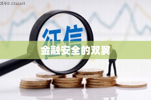 宏伟金融安全的双翼