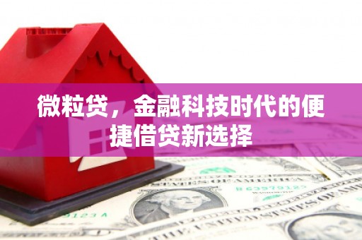宏伟微粒贷，金融科技时代的便捷借贷新选择