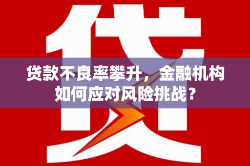 宏伟贷款不良率攀升，金融机构如何应对风险挑战？