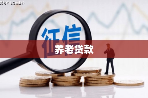 宏伟养老贷款