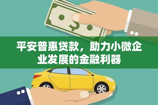 宏伟平安普惠贷款，助力小微企业发展的金融利器