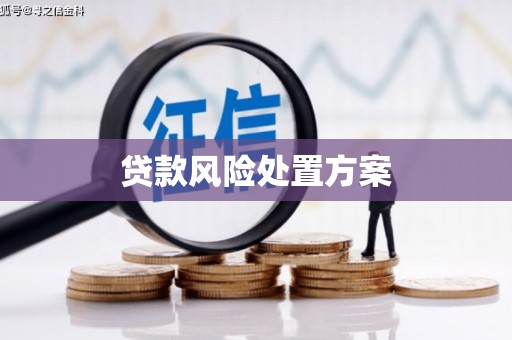 宏伟贷款风险处置方案