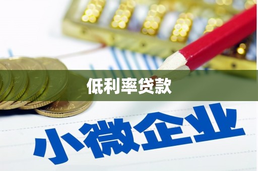 宏伟低利率贷款