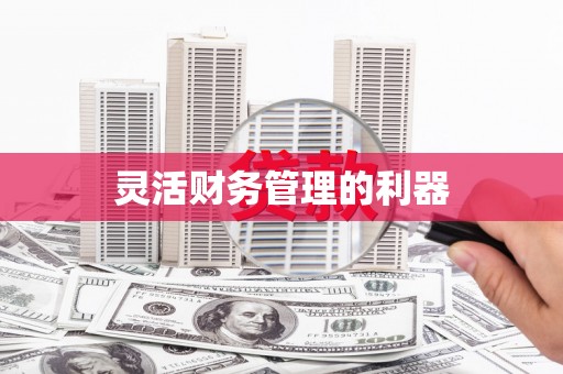 宏伟灵活财务管理的利器