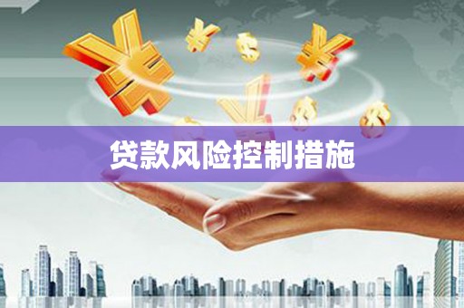 宏伟贷款风险控制措施
