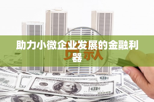 宏伟助力小微企业发展的金融利器