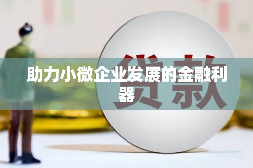 宏伟助力小微企业发展的金融利器