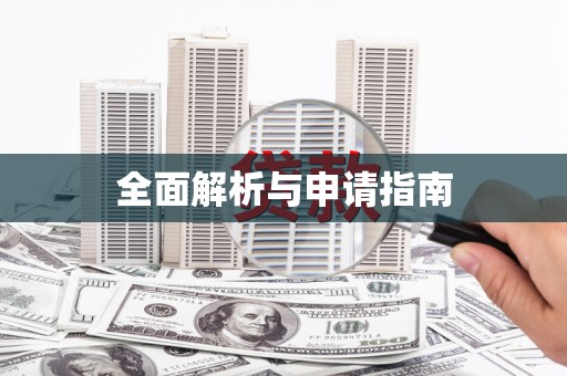 宏伟全面解析与申请指南