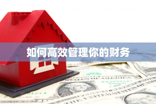宏伟如何高效管理你的财务