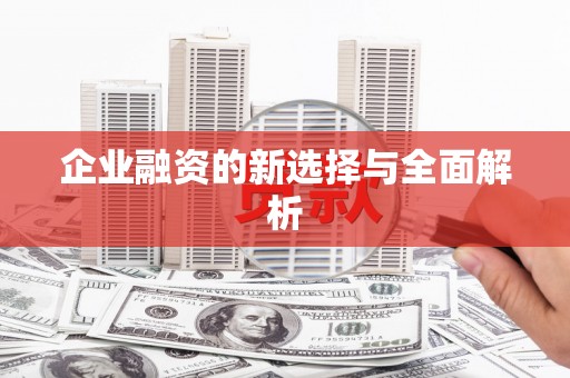 宏伟企业融资的新选择与全面解析
