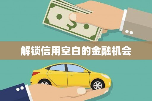 宏伟解锁信用空白的金融机会