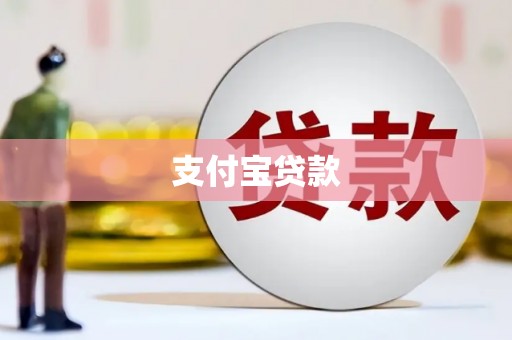 宏伟支付宝贷款