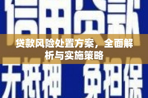 宏伟贷款风险处置方案，全面解析与实施策略