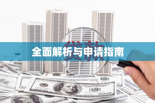 宏伟全面解析与申请指南