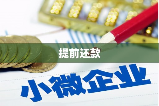 宏伟提前还款