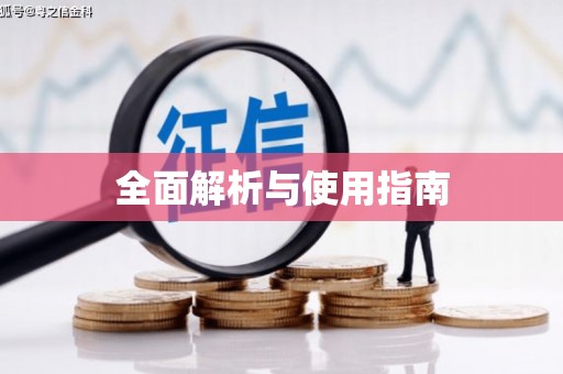 宏伟全面解析与使用指南