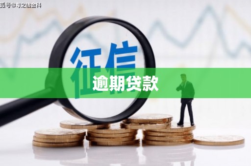 宏伟逾期贷款