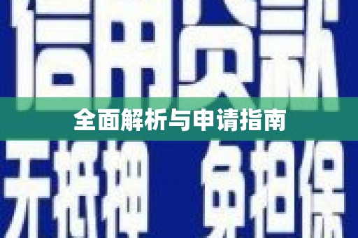宏伟全面解析与申请指南