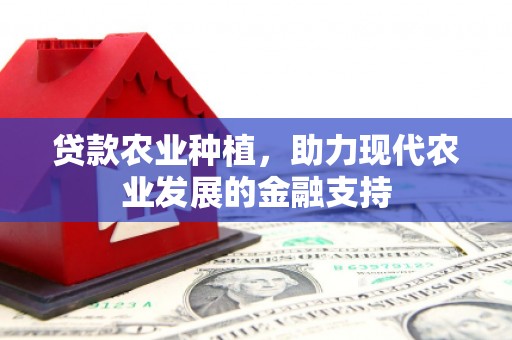 宏伟贷款农业种植，助力现代农业发展的金融支持